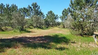 Land for sale in Grândola, Portugal — €195,000