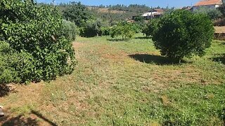 Land for sale in Vila Velha de Ródão, Portugal — €19,900