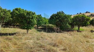 Land for sale in Castro Marim, Portugal — €19,000