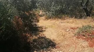 Land for sale in Loulé, Portugal — €18,000