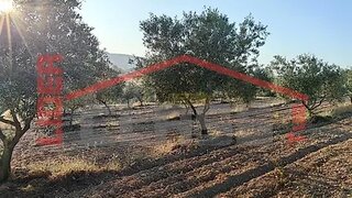Land for sale in Mirandela, Portugal — €20,000