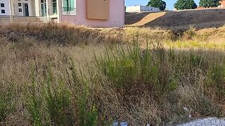 Land for sale in Torres Novas, Portugal — €450,000