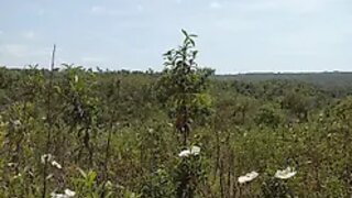Land for sale in Grândola, Portugal — €80,000