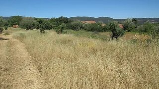 Land for sale in Ansião, Portugal — €55,000