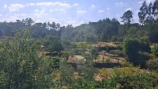 Land for sale in Nelas, Portugal — €19,000