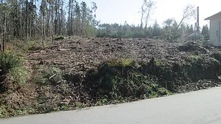 Land for sale in Santa Maria da Feira, Portugal — €75,000