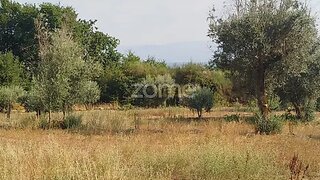 Land for sale in Mangualde, Portugal — €32,500