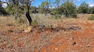 Land for sale in Loulé, Portugal — €40,000