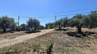 Land for sale in Tomar, Portugal — €70,000