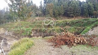 Land for sale in Fafe, Portugal — €96,500
