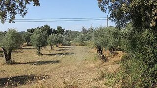 Terreno em Ferreira do Zêzere · 1480 m² · 5000 €
