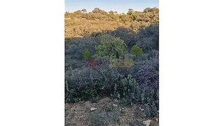 Land for sale in Loulé, Portugal — €40,000