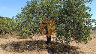 Land for sale in Castro Marim, Portugal — €22,500