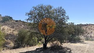 Land for sale in Castro Marim, Portugal — €79,000