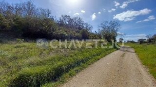 Land for sale in Tomar, Portugal — €25,000