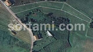 Land for sale in Anadia, Portugal — €37,000