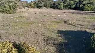 Land for sale in São Brás de Alportel, Portugal — €60,000
