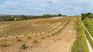 Terreno em Santarém · 45 920 m² · 160 000 €