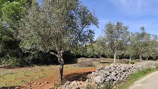 Land for sale in Alcanena, Portugal — €20,000