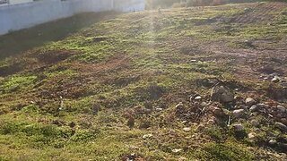 Land for sale in Abrantes, Portugal — €65,000