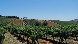 Land for sale in Torres Vedras, Portugal — €80,000