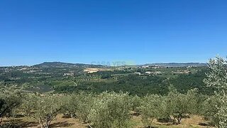 Terreno em Tarouca