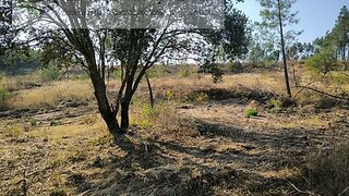 Terreno de 3341 m² em Castelo Branco