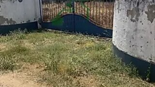 Terreno de 3750 m² em Moura