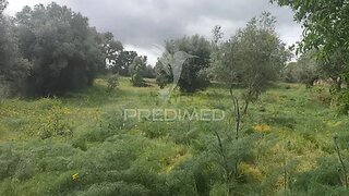 Land for sale in Almeida, Portugal — €20,000