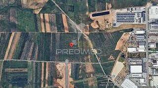 Land for sale in Albergaria-a-Velha, Portugal — €3,255,000