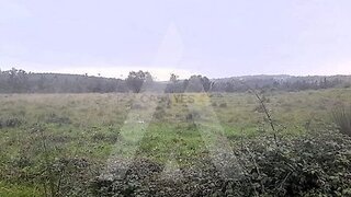 Land for sale in Mealhada, Portugal — €87,500