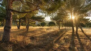 Land for sale in Lagoa, Portugal — €110,000