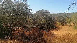 Land for sale in Loulé, Portugal — €27,000