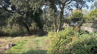 Land for sale in Vila Nova de Gaia, Portugal — €95,000