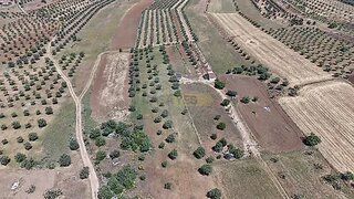 Land for sale in Reguengos de Monsaraz, Portugal — €45,000