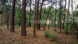 Land for sale in Aljezur, Portugal — €95,000