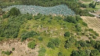 Terreno em Rio Maior