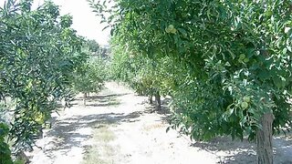 Land for sale in Tarouca, Portugal — €20,000