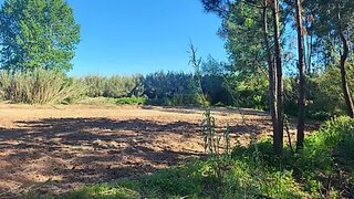 Land for sale in Nazaré, Portugal — €37,000