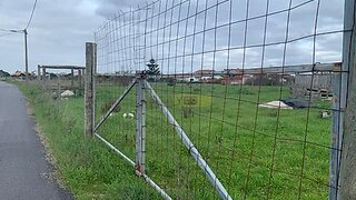 Land for sale in Ílhavo, Portugal — €69,500
