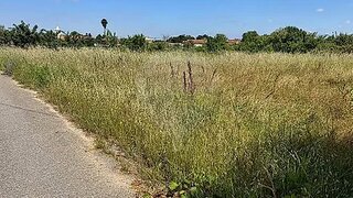Land for sale in Oliveira do Bairro, Portugal — €16,700