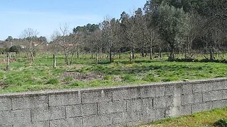 Terreno de 2960 m² em Viseu