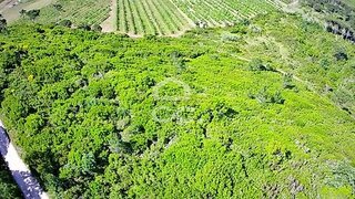 Land for sale in Óbidos, Portugal — €32,000