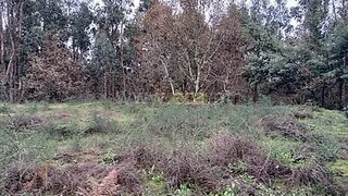 Land for sale in Póvoa de Lanhoso, Portugal — €65,000