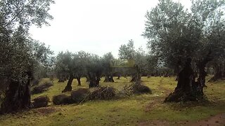 Land for sale in Alandroal, Portugal — €30,000