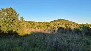 Terreno em Silves · 1280 m² · 16 500 €