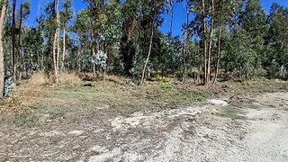 Land for sale in Porto de Mós, Portugal — €20,000