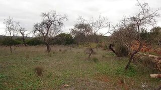 Land for sale in Loulé, Portugal — €33,500