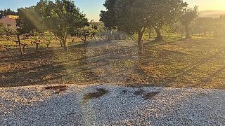 Land for sale in Tomar, Portugal — €55,000