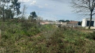 Land for sale in Vila Nova de Paiva, Portugal — €21,900
